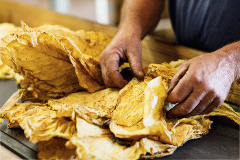 Heimat Dunkel Brune Zigaretten