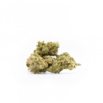 420/7 Girl Scout Cookies Hanfblüten Tabakersatz
