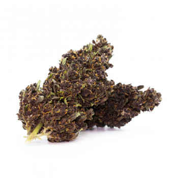420/7 Purple Haze Hanfblüten Tabakersatz
