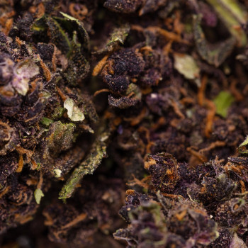 420/7 Purple Haze Hanfblüten Tabakersatz