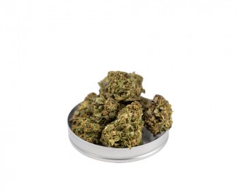 GanjaDNA Apple Kush Fluffy Puff CBD 10g