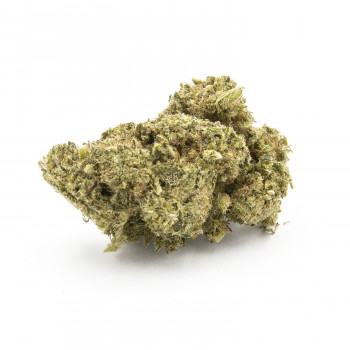 Hempy Indoor No.1