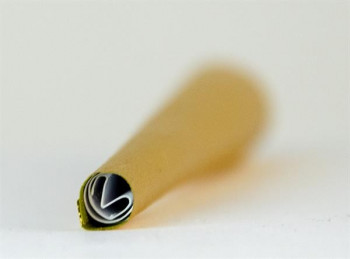 GOLD KUSH Hemp King Size Cone