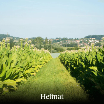 Heimat Drehtabak Dunkel 80g