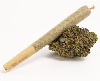 Budz Pre Rolled Joint Super Skunk