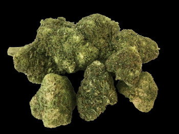 Budz Pre Rolled Joint Renegade