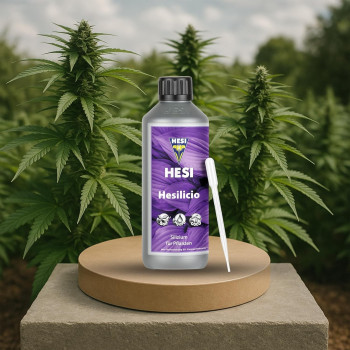 HESI Hesilicio Silizium Booster 1L