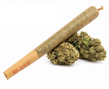 Budz Pre Rolled Joint Blueberry