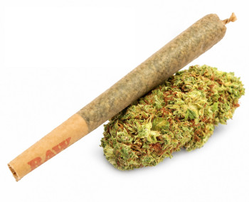 Budz Pre Rolled Joint AK 47 Indoor