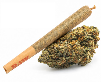 Budz Pre Rolled Joint Erdbeerli