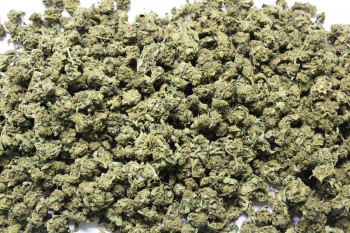 CPure Fedtonic CBD-Cannabis Tabakersatz 10g