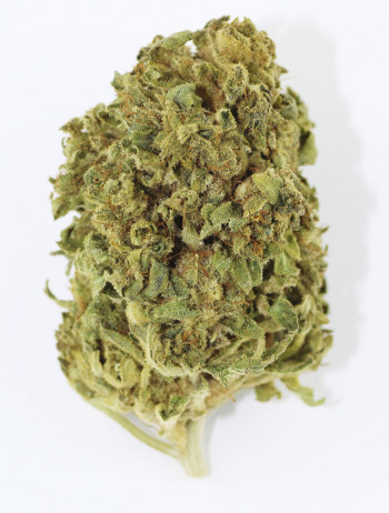 Budz AK 47 Indoor Hanfblüten Tabakersatz