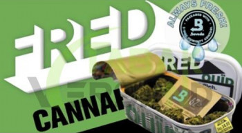 Fred CBD Ouïd N°7