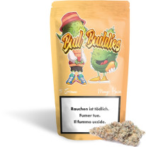 Bud Buddies Mango Haze 2g