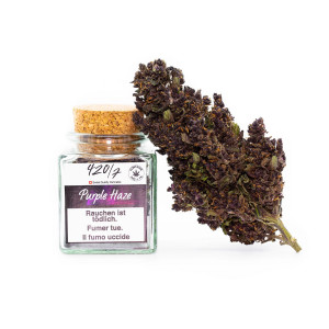 420/7 Purple Haze Hanfblüten Tabakersatz