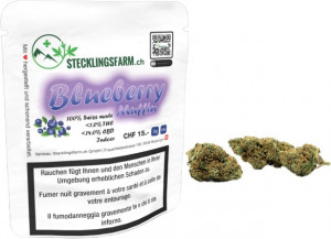 Stecklingsfarm Blueberry Muffin 3g Hanfblüten Tabakersatz