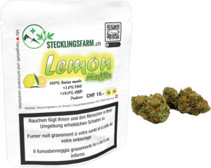 Stecklingsfarm Lemon Muffin 3g Hanfblüten Tabakersatz