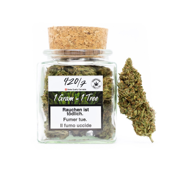 420/7 Baumkrone 10g = 10 Trees