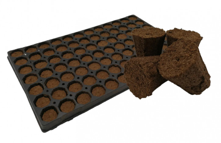 Planta Plug Tray mit 84 Stk.