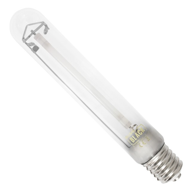 Lumii Black HPS 600W Blüte