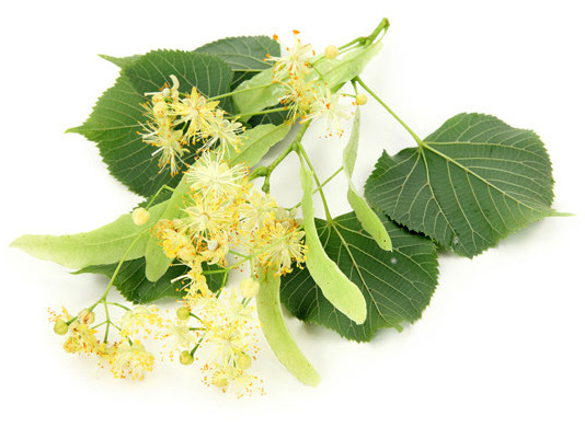Lindenblüten 15g
