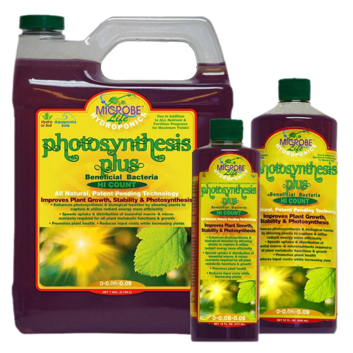 Microbe Life Photosynthesis Plus