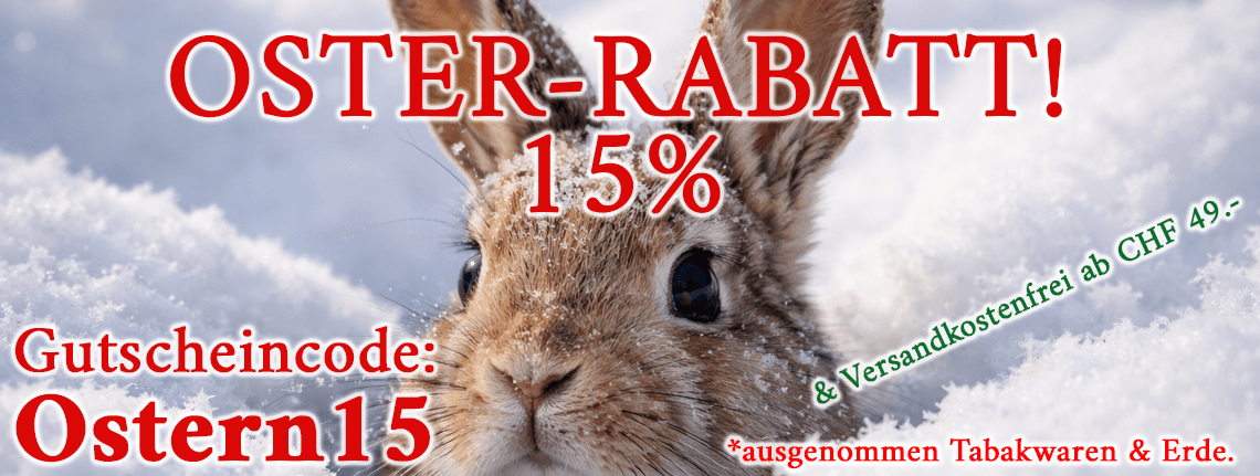 Teaser: Papes-Aktion